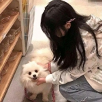 纽扣助手破解游戏中心下载